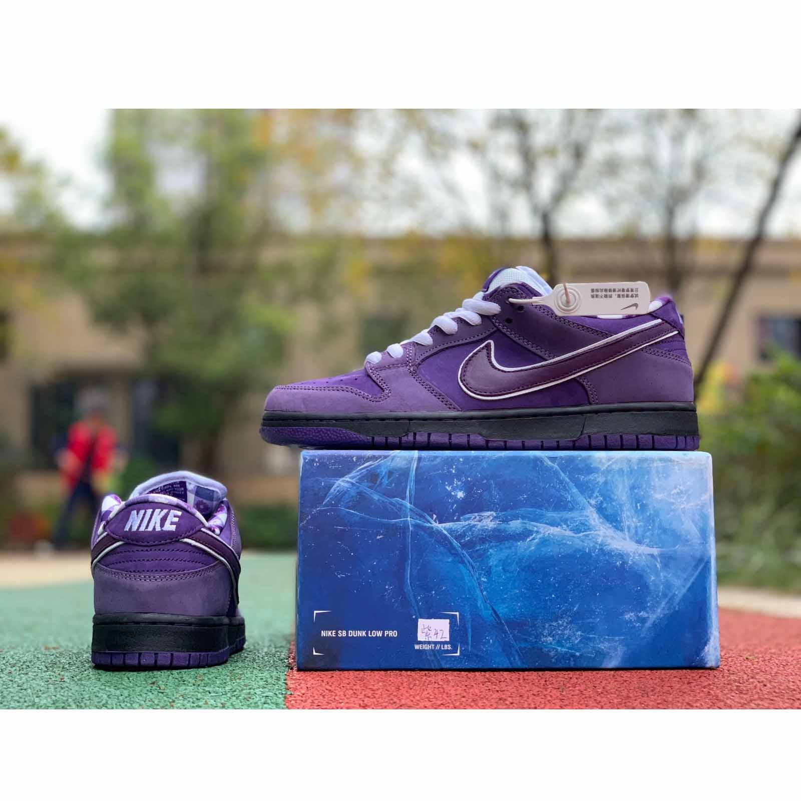 Nike SB Dunk Low Pro OG QS Special 