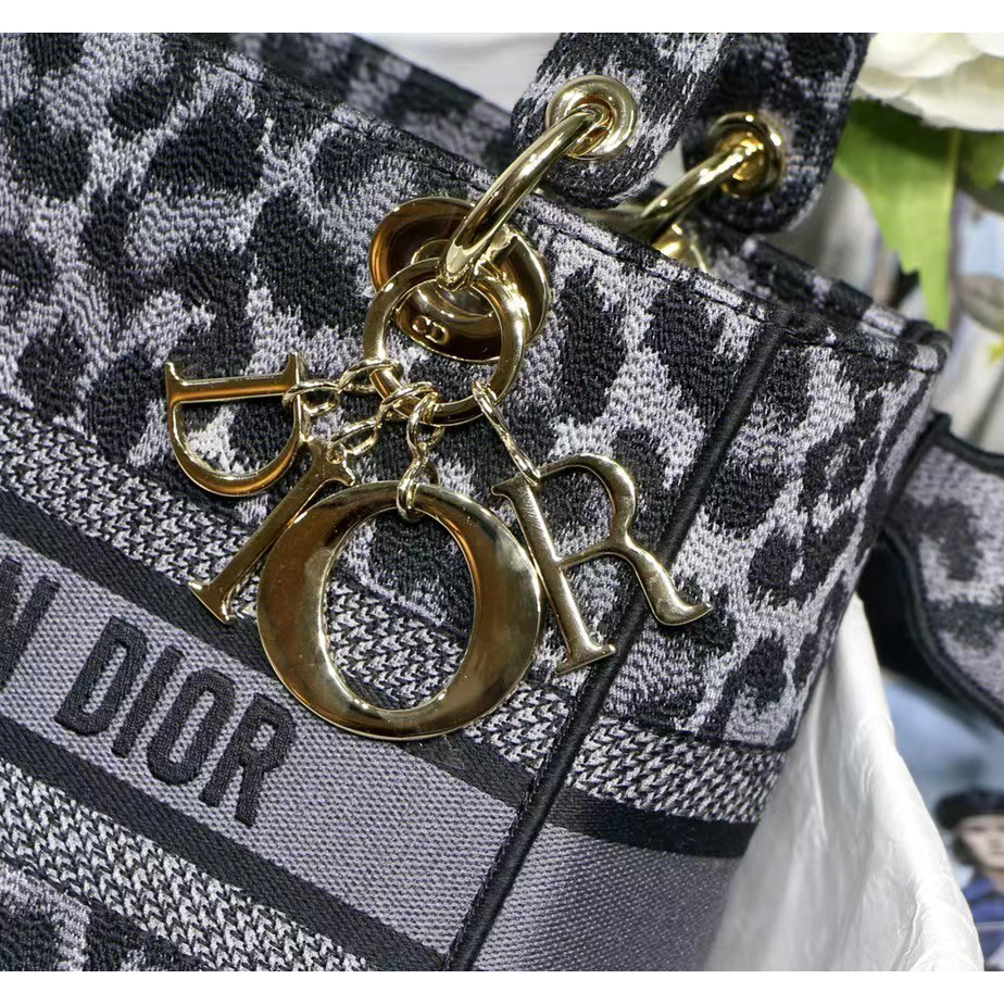 Dior Leopard Print Lady Bag（24-20-11CM） - EUR FASHION