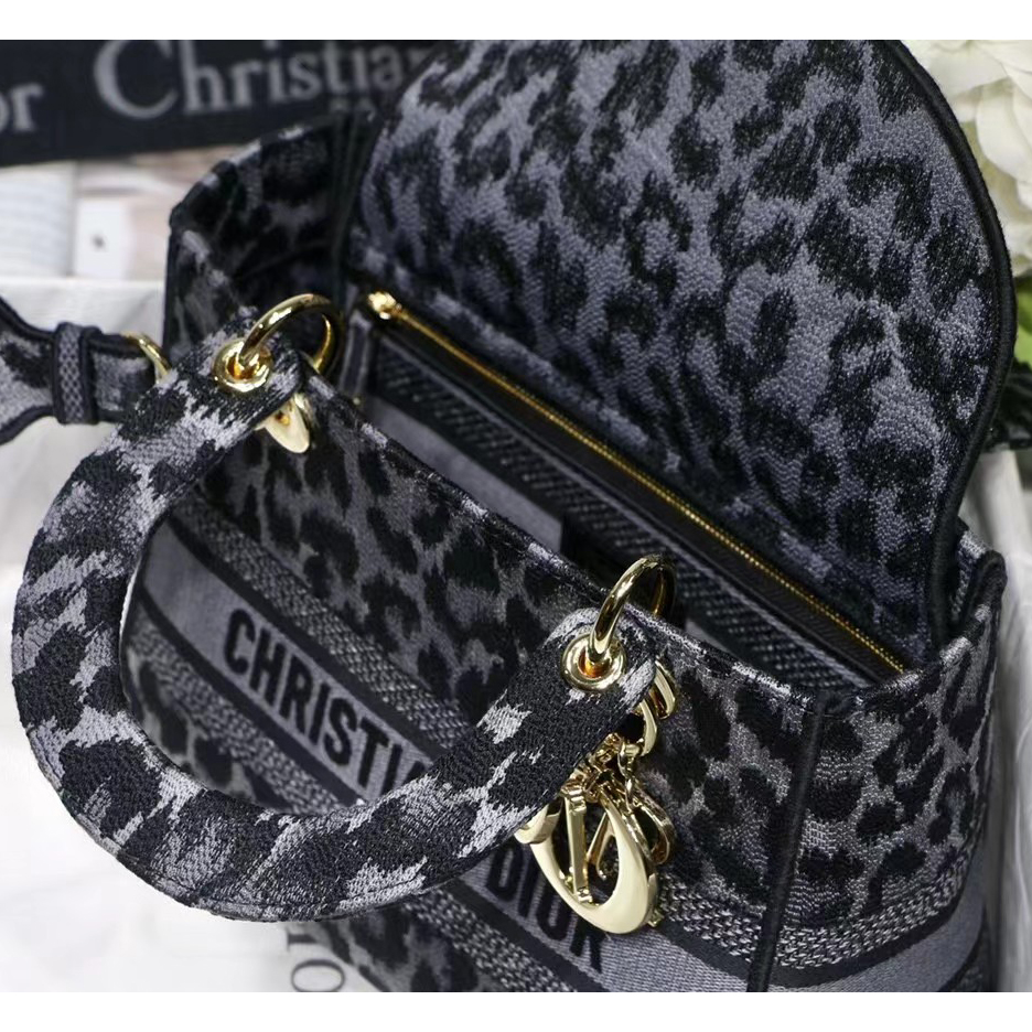 Dior Leopard Print Lady Bag（24-20-11CM） - EUR FASHION