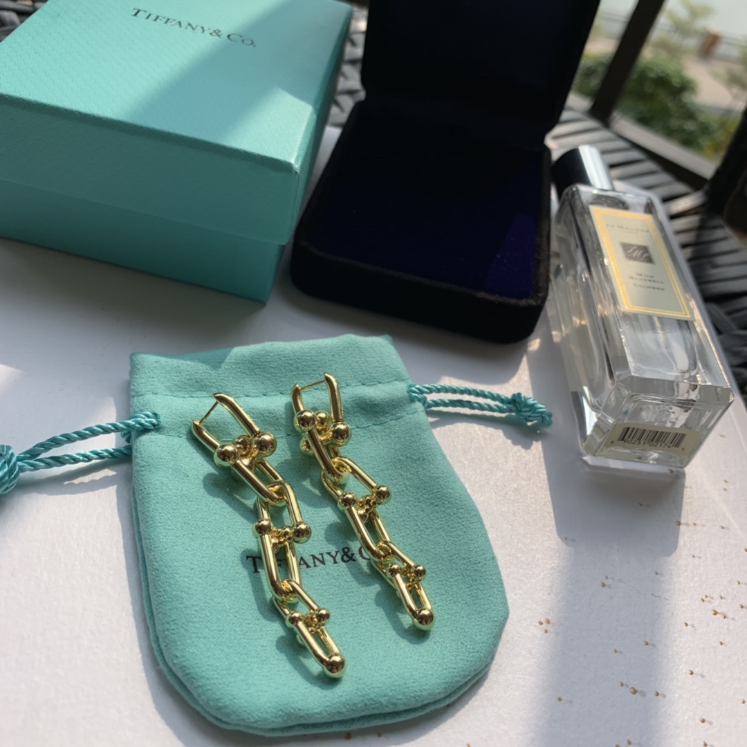 Tiffany&CO Graduated Link Earrings - EUR FASHION