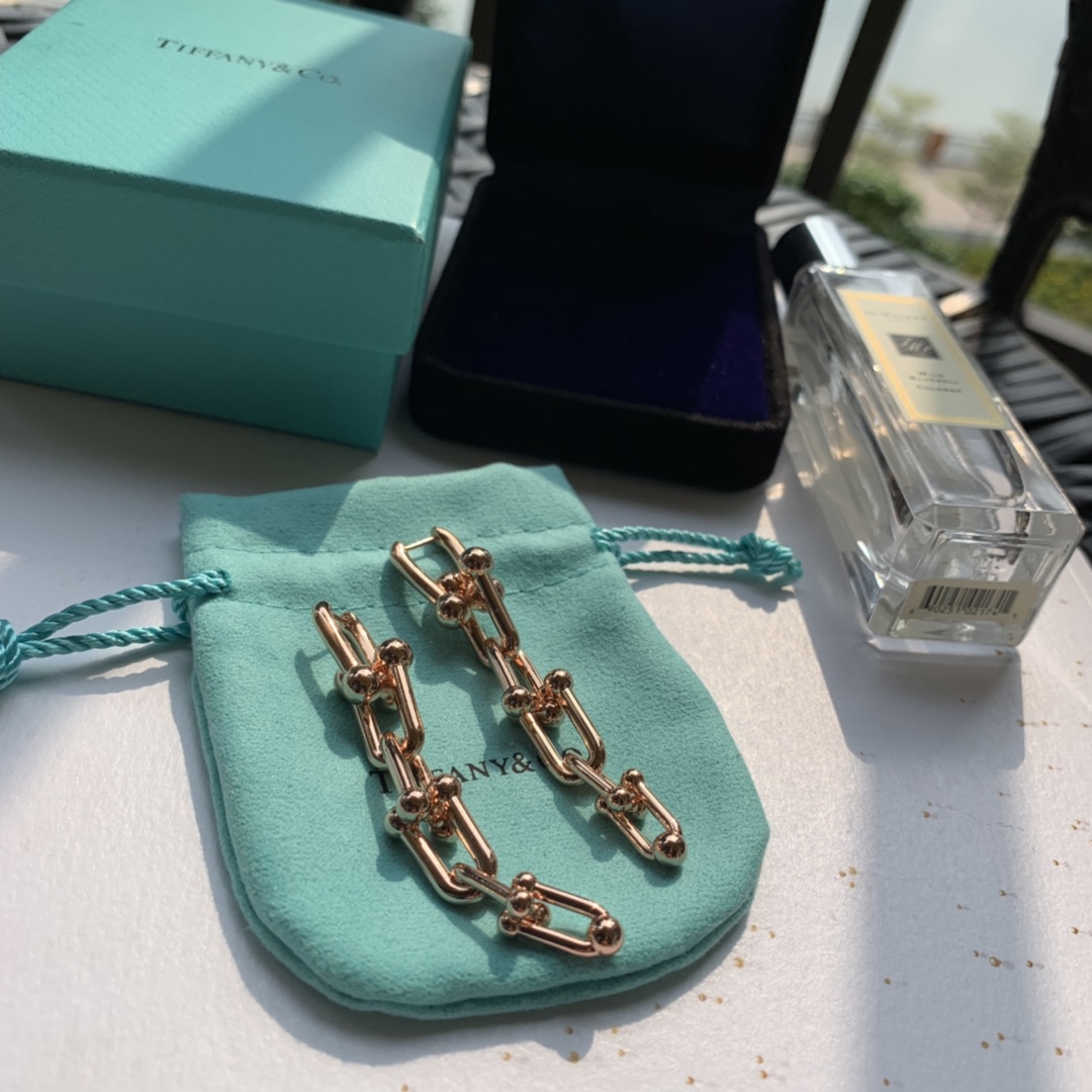 Tiffany&CO Graduated Link Earrings - EUR FASHION