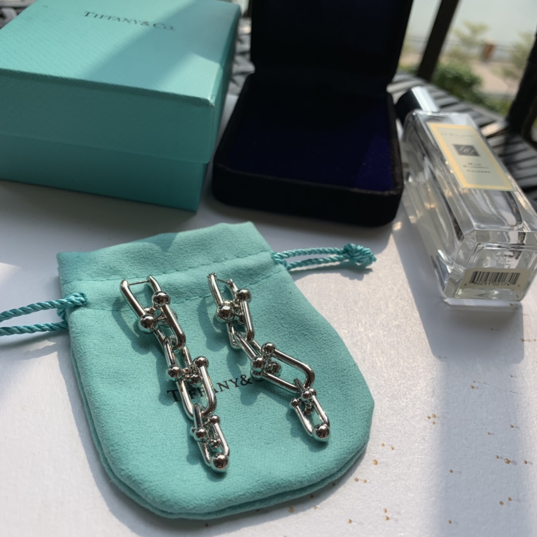 Tiffany&CO Graduated Link Earrings - EUR FASHION