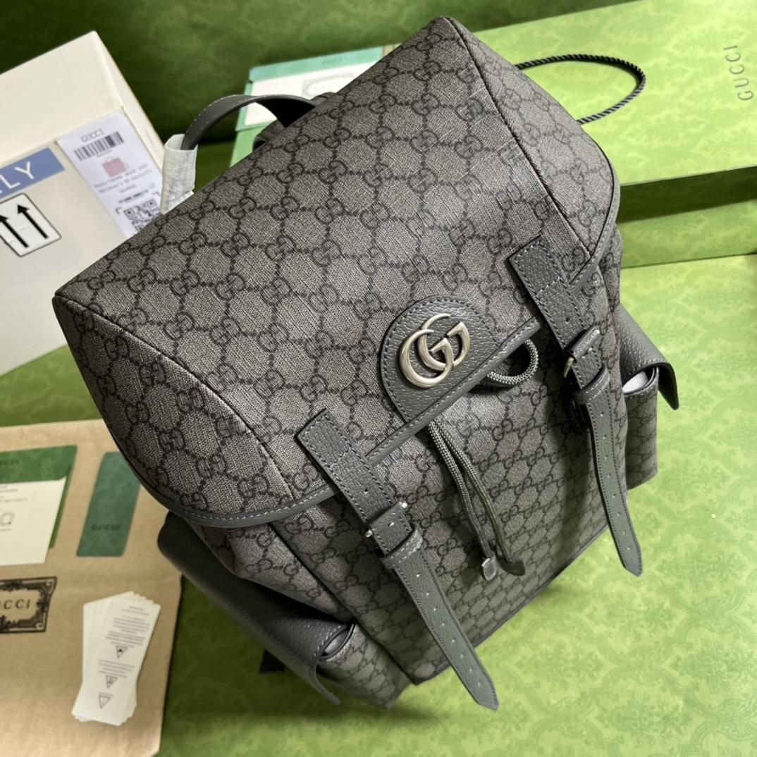 Gucci Ophidia GG Medium Backpack(24-40-16cm) - EUR FASHION