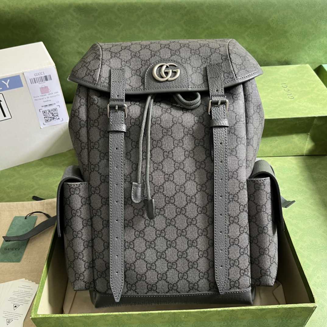 Gucci Ophidia GG Medium Backpack(24-40-16cm) - EUR FASHION