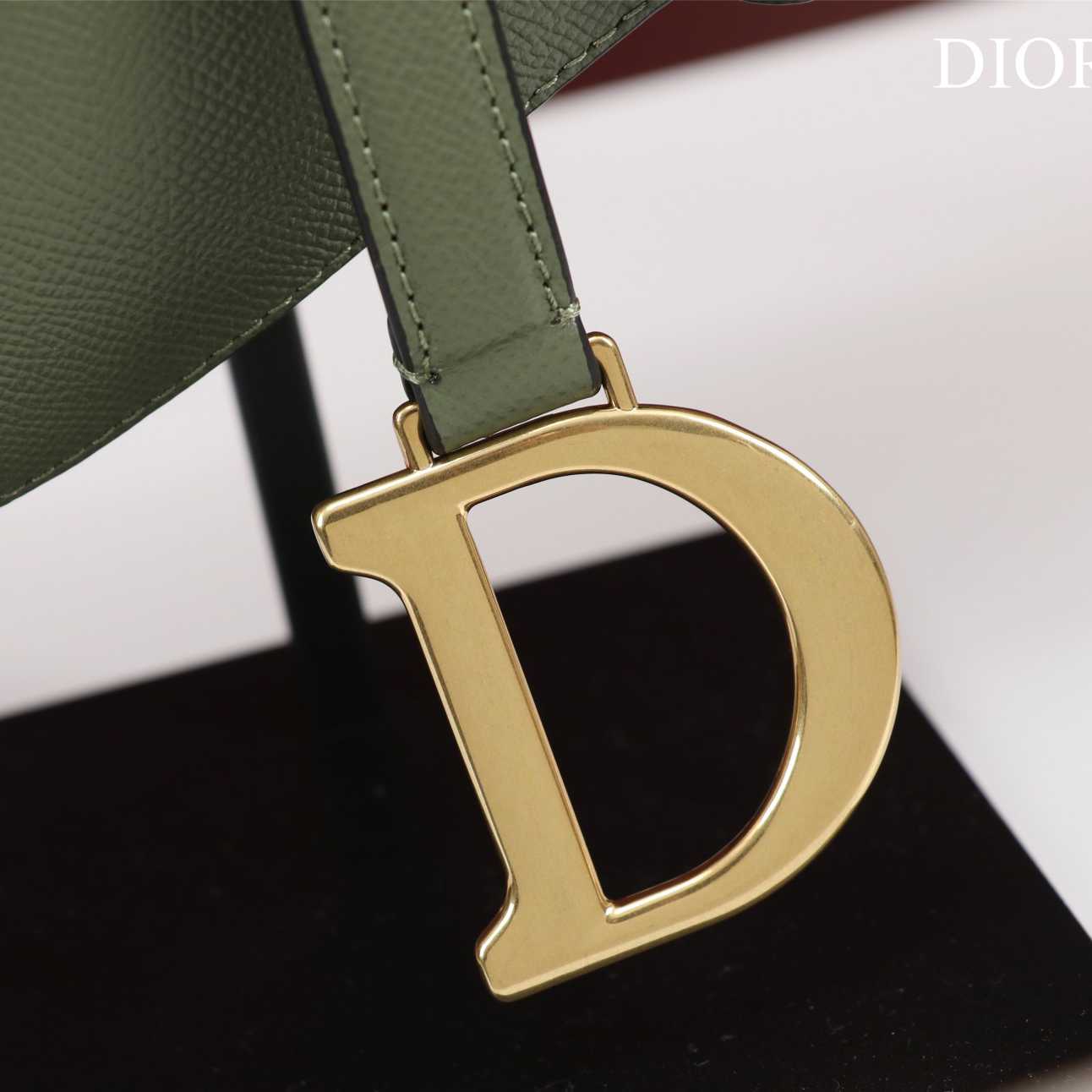 Dior Saddle Bag(25.5-20-6.5cm) - EUR FASHION