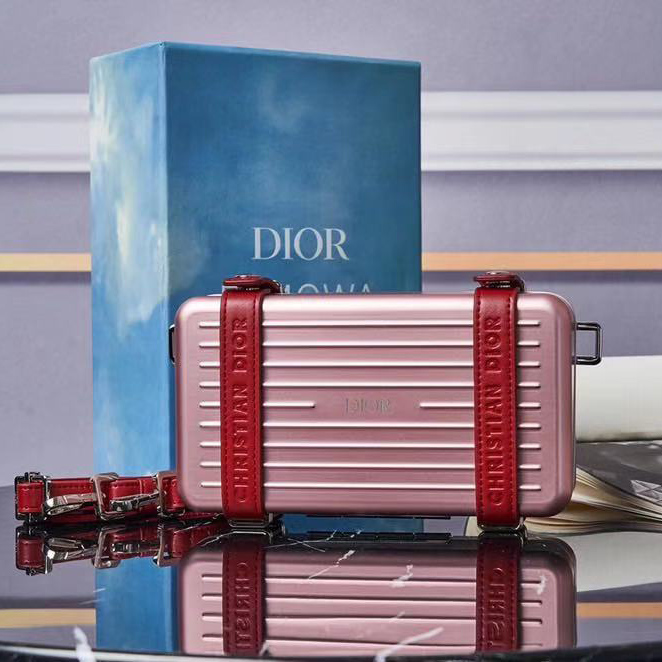 Dior And Rimowa Personal Pouch - EUR FASHION