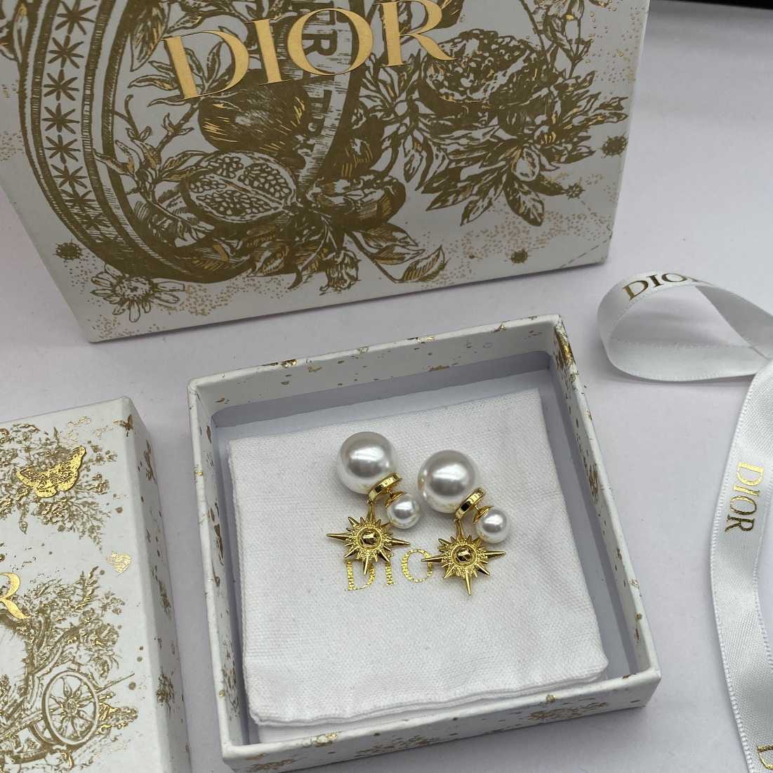 Dior Tribales Earrings - EUR FASHION