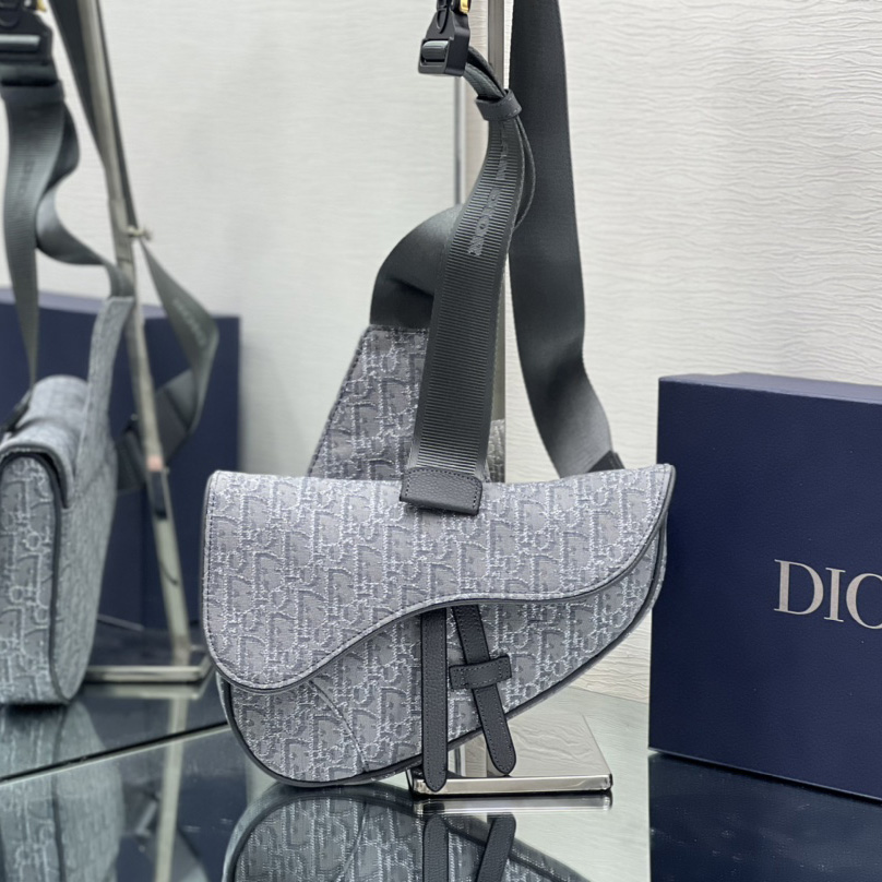 Dior Saddle Bag - EUR FASHION