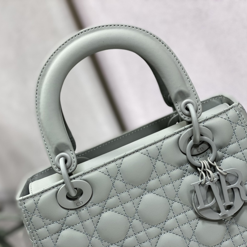 Dior Medium Lady Dior Bag - EUR FASHION