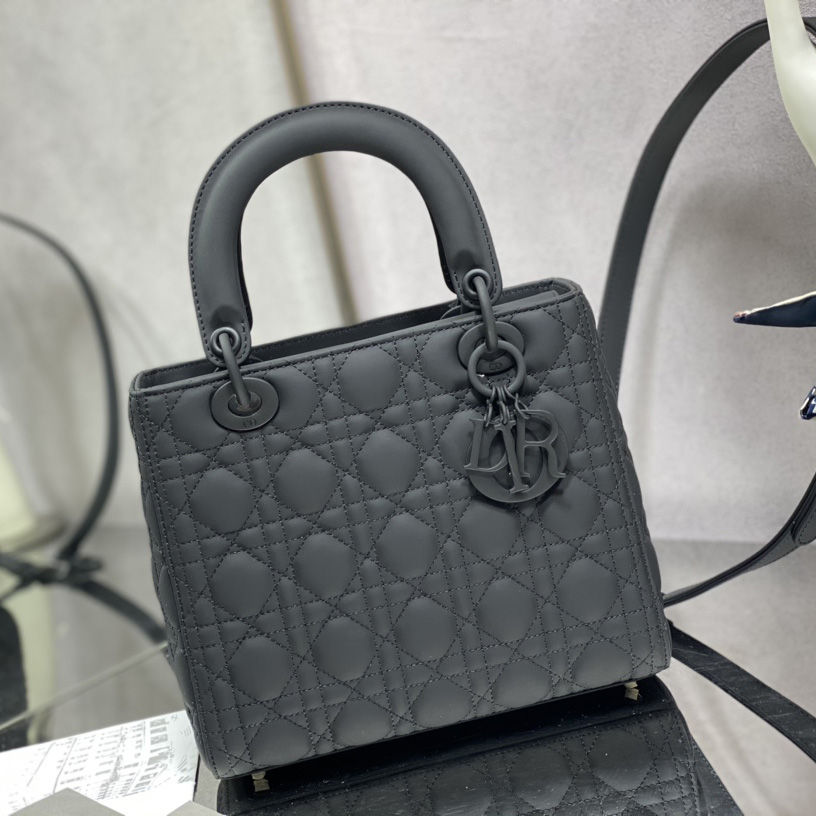 Dior Medium Lady Dior Bag - EUR FASHION