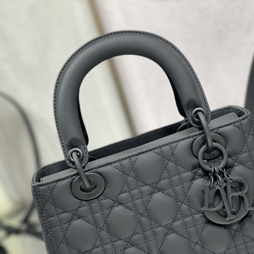 Dior Medium Lady Dior Bag - EUR FASHION