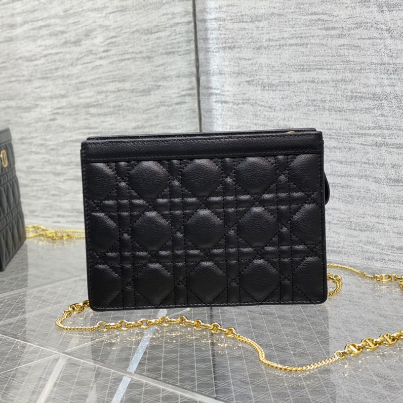 Dior Caro Zipped Pouch With Chain  - EUR FASHION