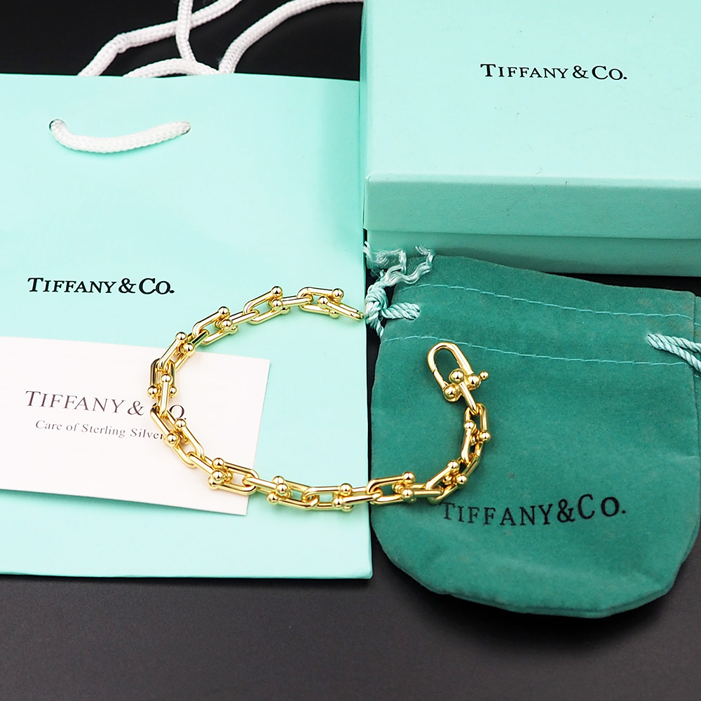 Tiffany&CO Small Link Bracelet - EUR FASHION