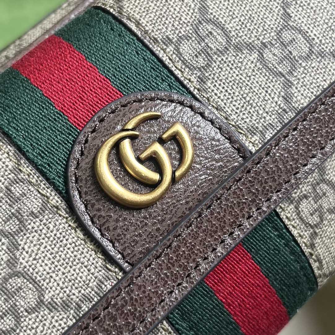 Gucci Ophidia GG Mini Bag(20-12.5-9cm)    - EUR FASHION