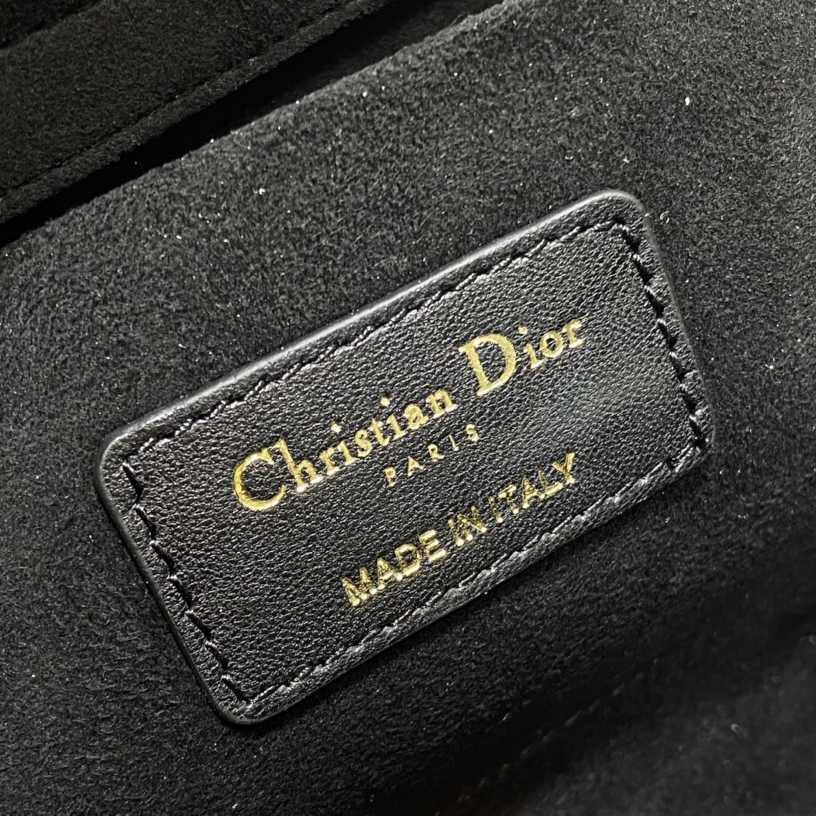 Dior Medium Lady D-Joy Bag - EUR FASHION