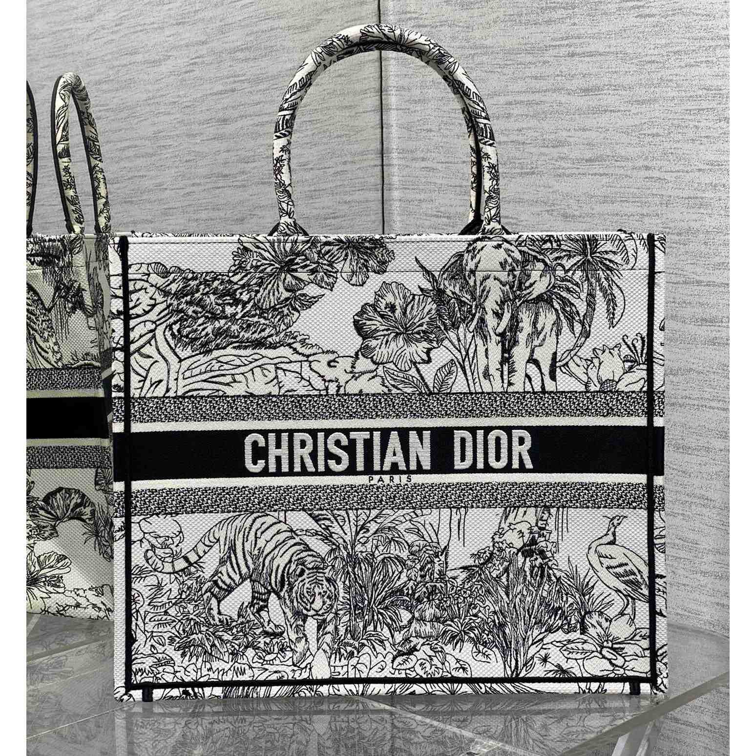 Dior Large Dior Book Tote - EUR FASHION