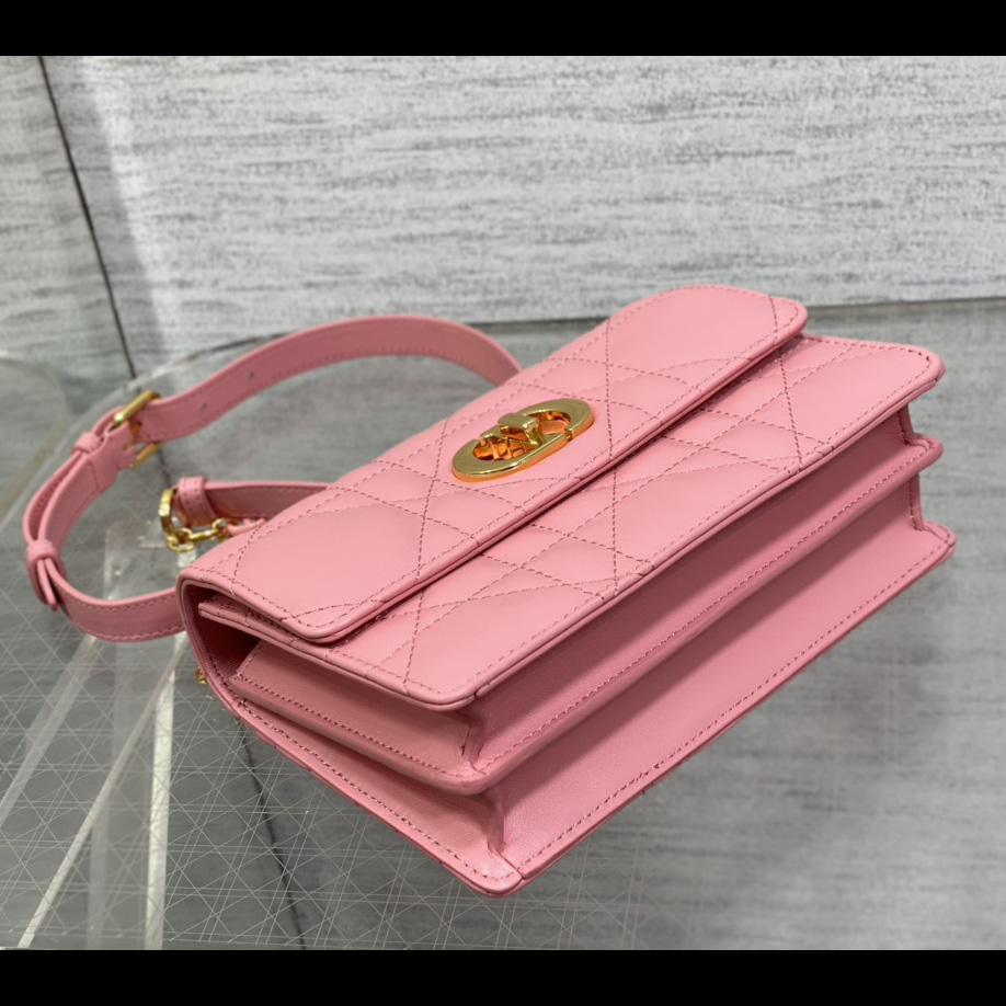 Dior Miss Caro Mini Bag - EUR FASHION