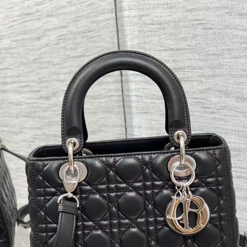 Dior Medium Lady Dior Bag - EUR FASHION