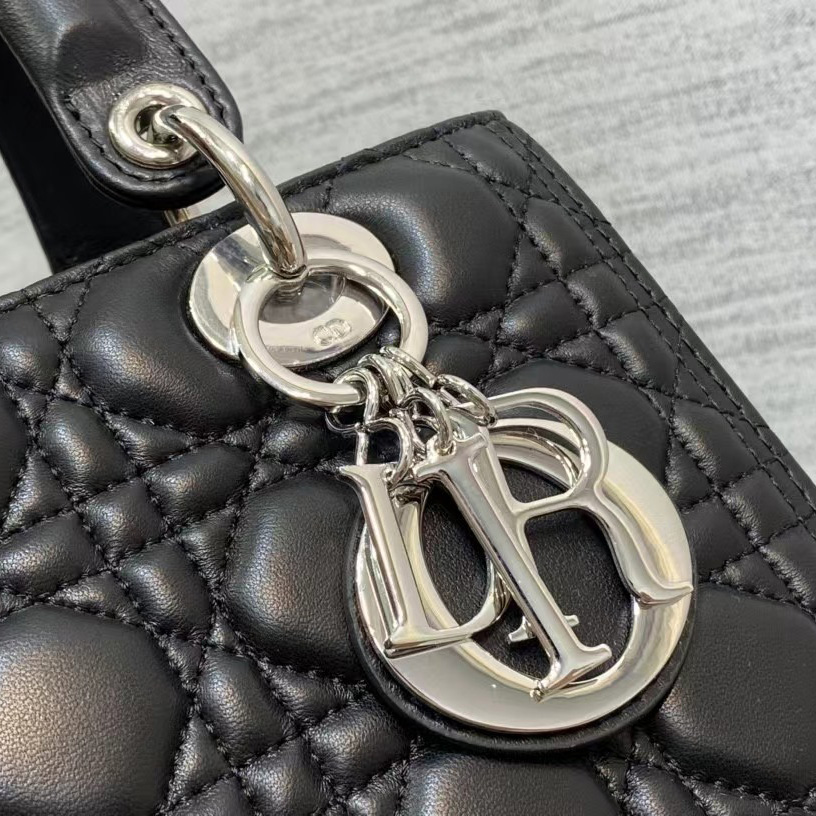 Dior Medium Lady Dior Bag - EUR FASHION