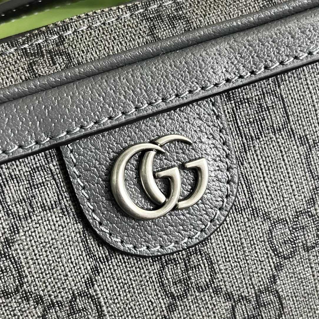 Gucci Ophidia Small Shoulder Bag (24x 16x 7cm) - EUR FASHION