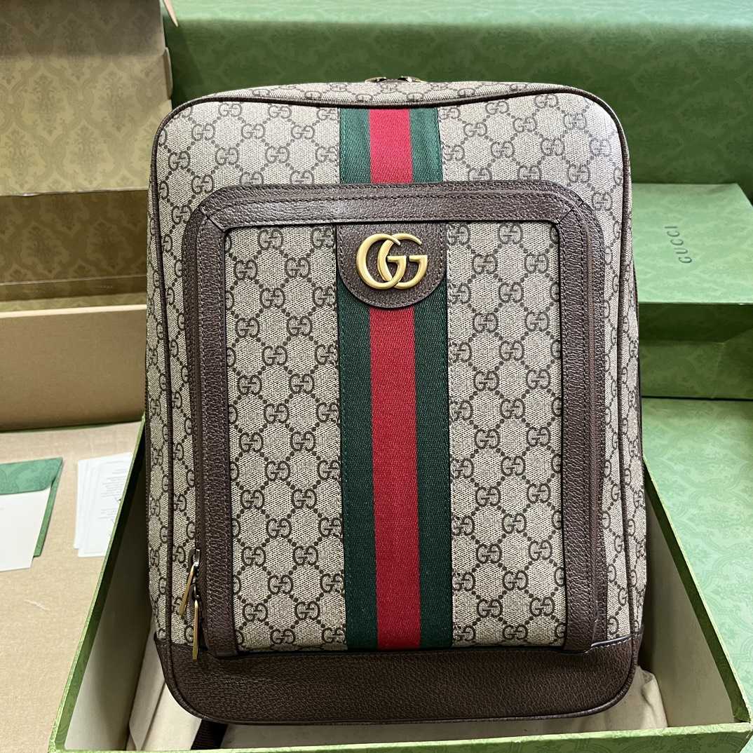 Gucci Ophidia GG Medium Backpack (40-30-14cm) - EUR FASHION