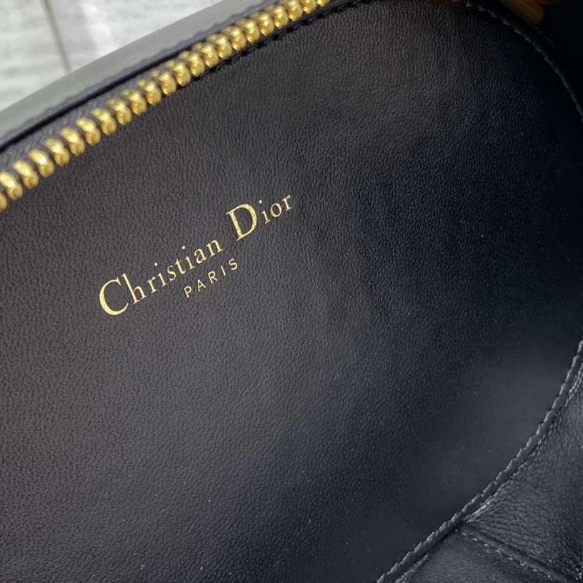 Dior CD Signature Oval Camera Bag - EUR FASHION