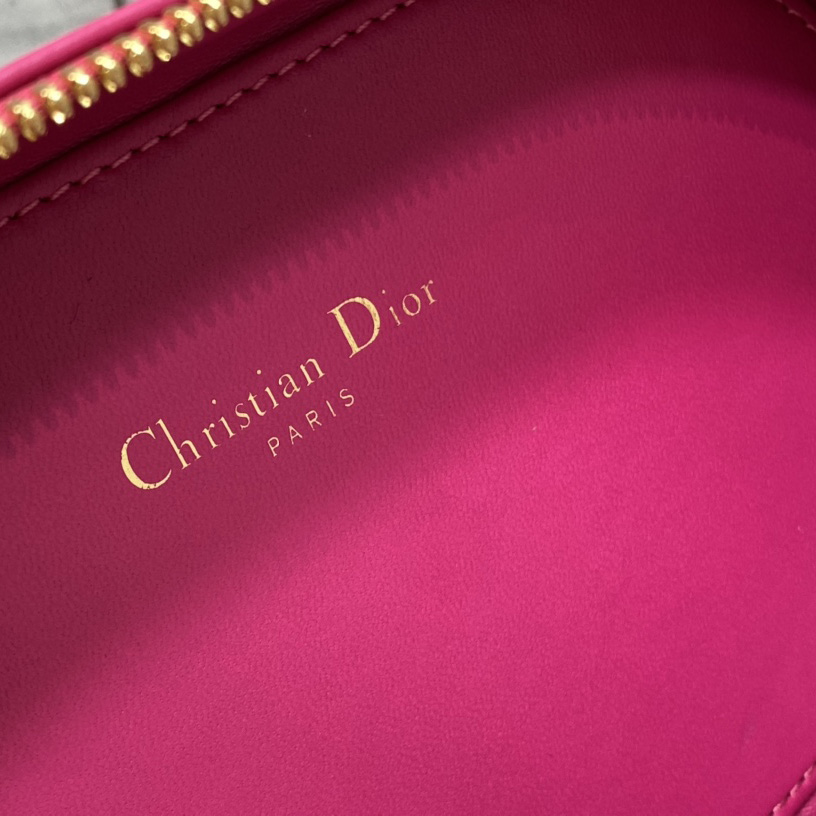 Dior CD Signature Oval Camera Bag - EUR FASHION