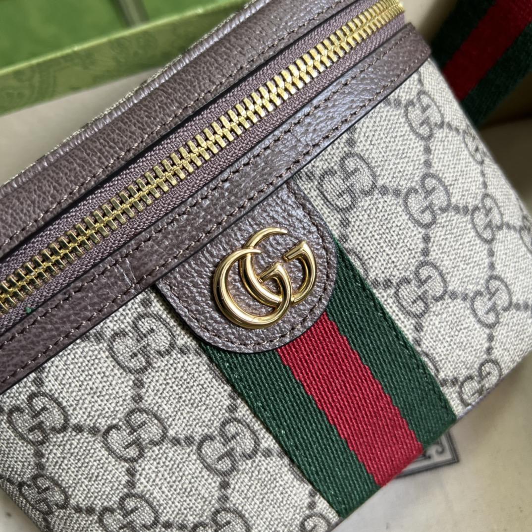 Gucci Ophidia GG Belt Bag (18-12-6cm) - EUR FASHION