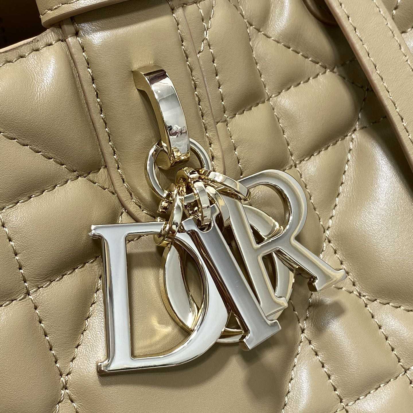 Dior Medium Dior Toujours Bag - EUR FASHION