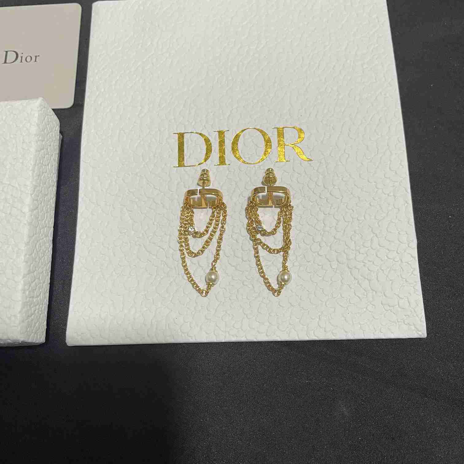 Dior Petit CD Earrings  - EUR FASHION