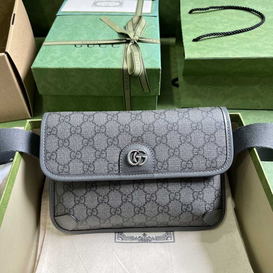 Gucci Ophidia GG Small Belt Bag - EUR FASHION