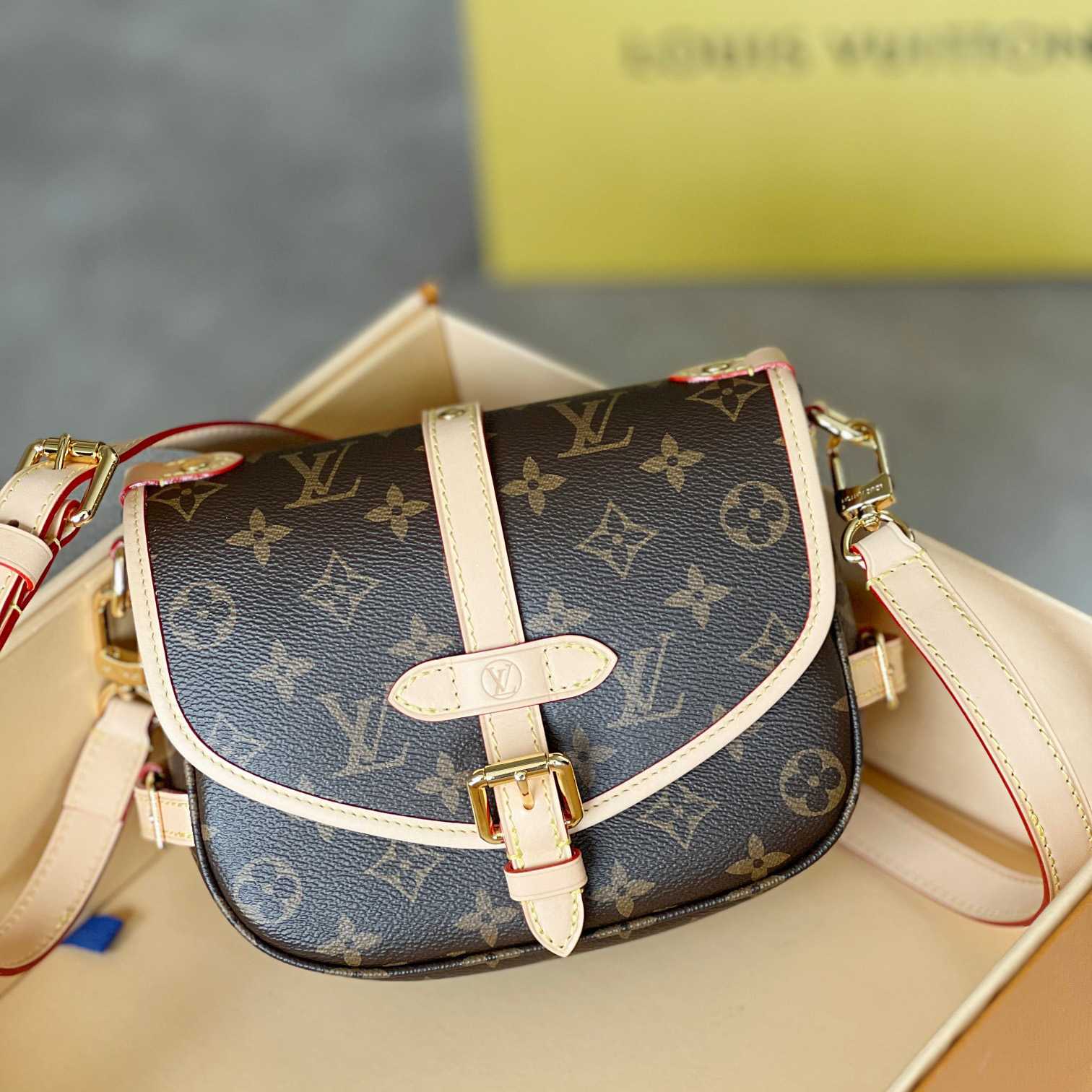 Louis Vuitton Saumur BB (20x15x7.5cm)   M46740 - EUR FASHION