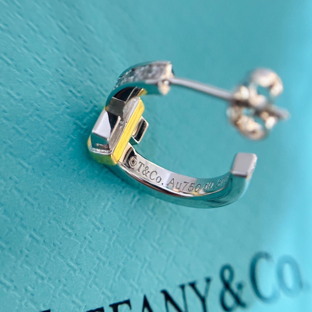 Tiffany&CO Hoop Earrings - EUR FASHION