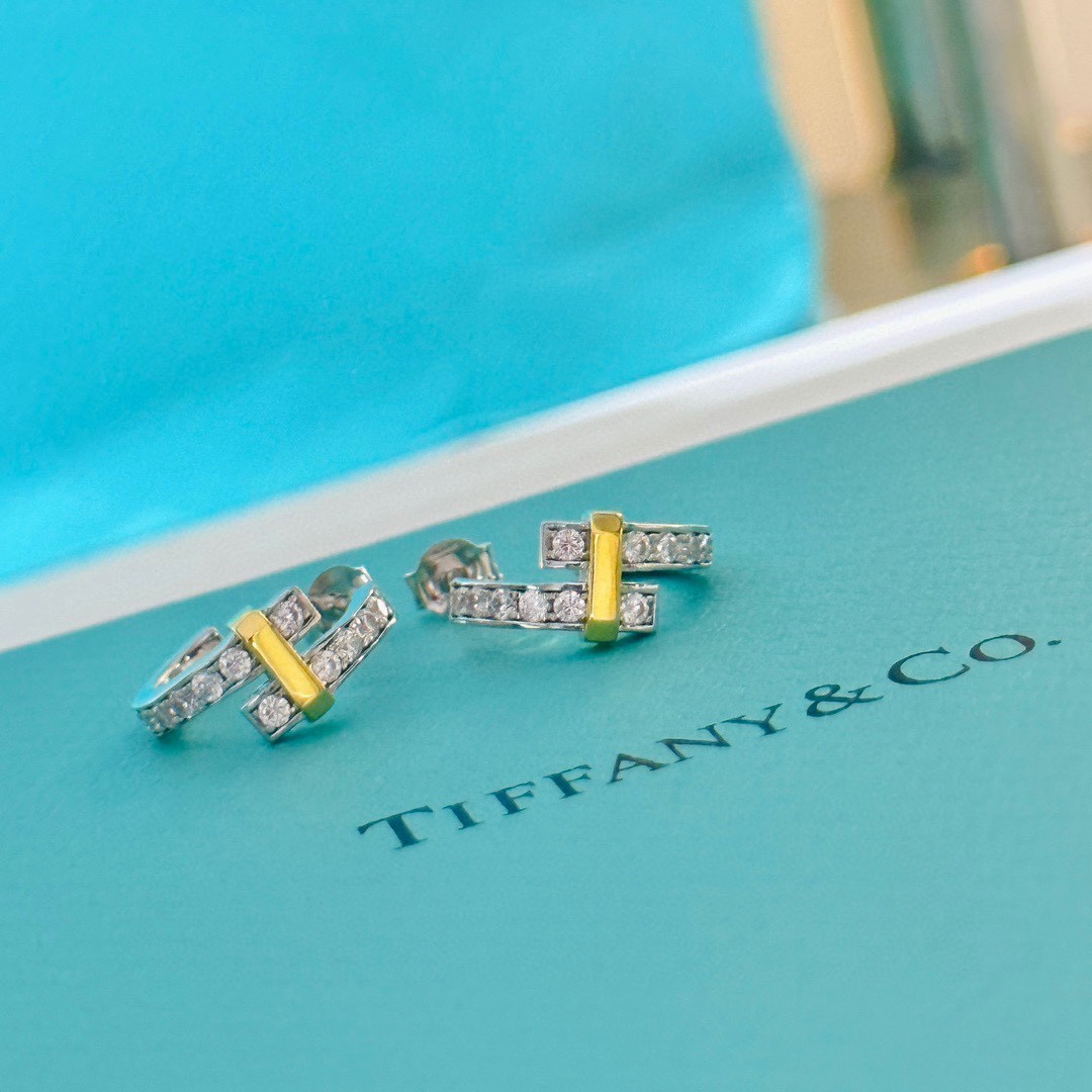 Tiffany&CO Hoop Earrings - EUR FASHION