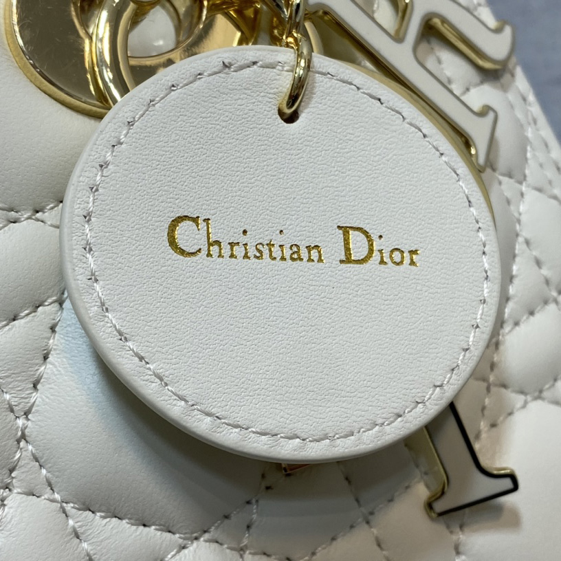 Dior Medium Lady Dior Bag - EUR FASHION