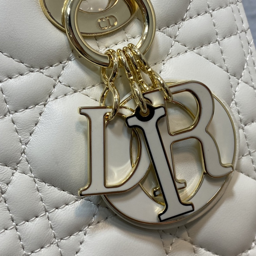 Dior Medium Lady Dior Bag - EUR FASHION