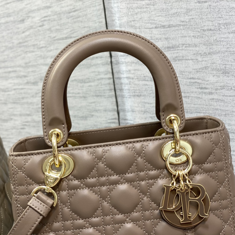 Dior Medium Lady Dior Bag - EUR FASHION