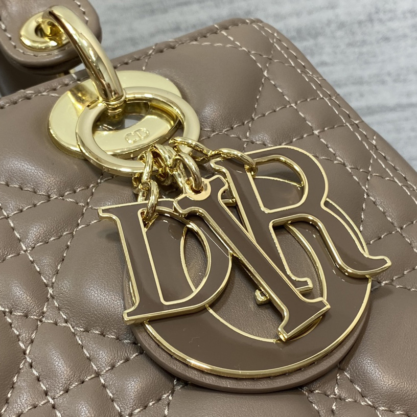 Dior Medium Lady Dior Bag - EUR FASHION