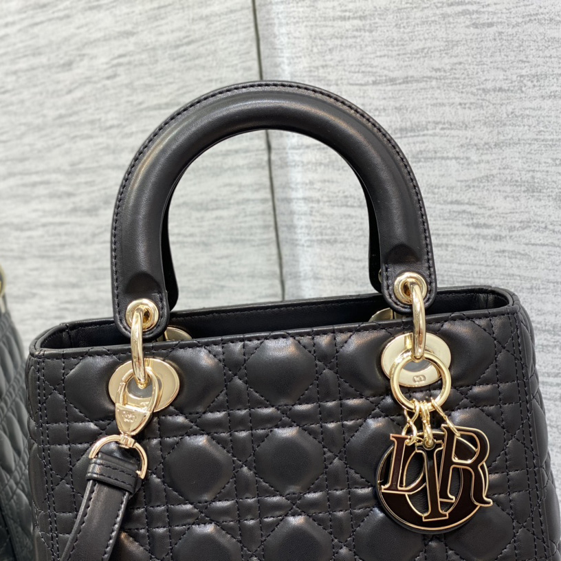 Dior Medium Lady Dior Bag - EUR FASHION