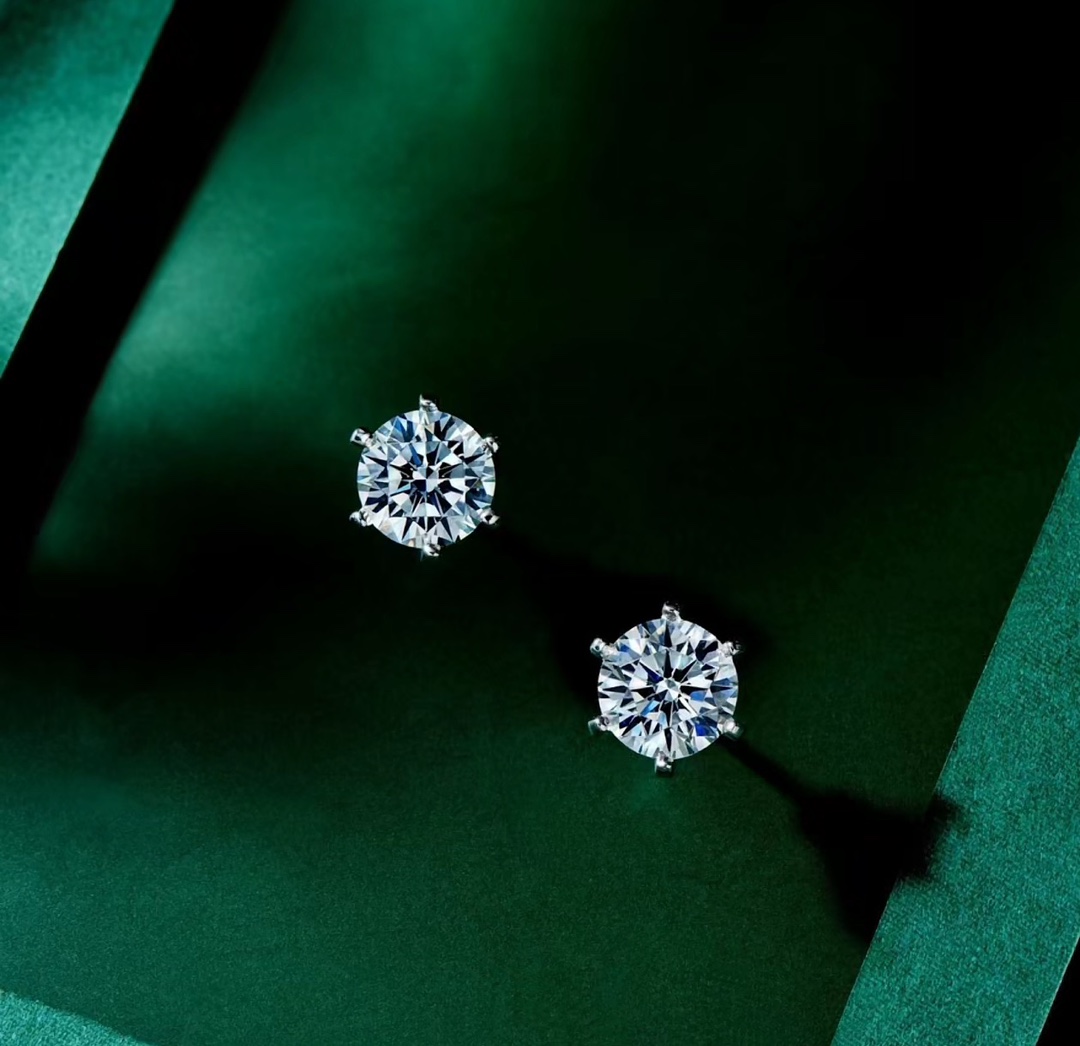 Tiffany&CO Earrings - EUR FASHION