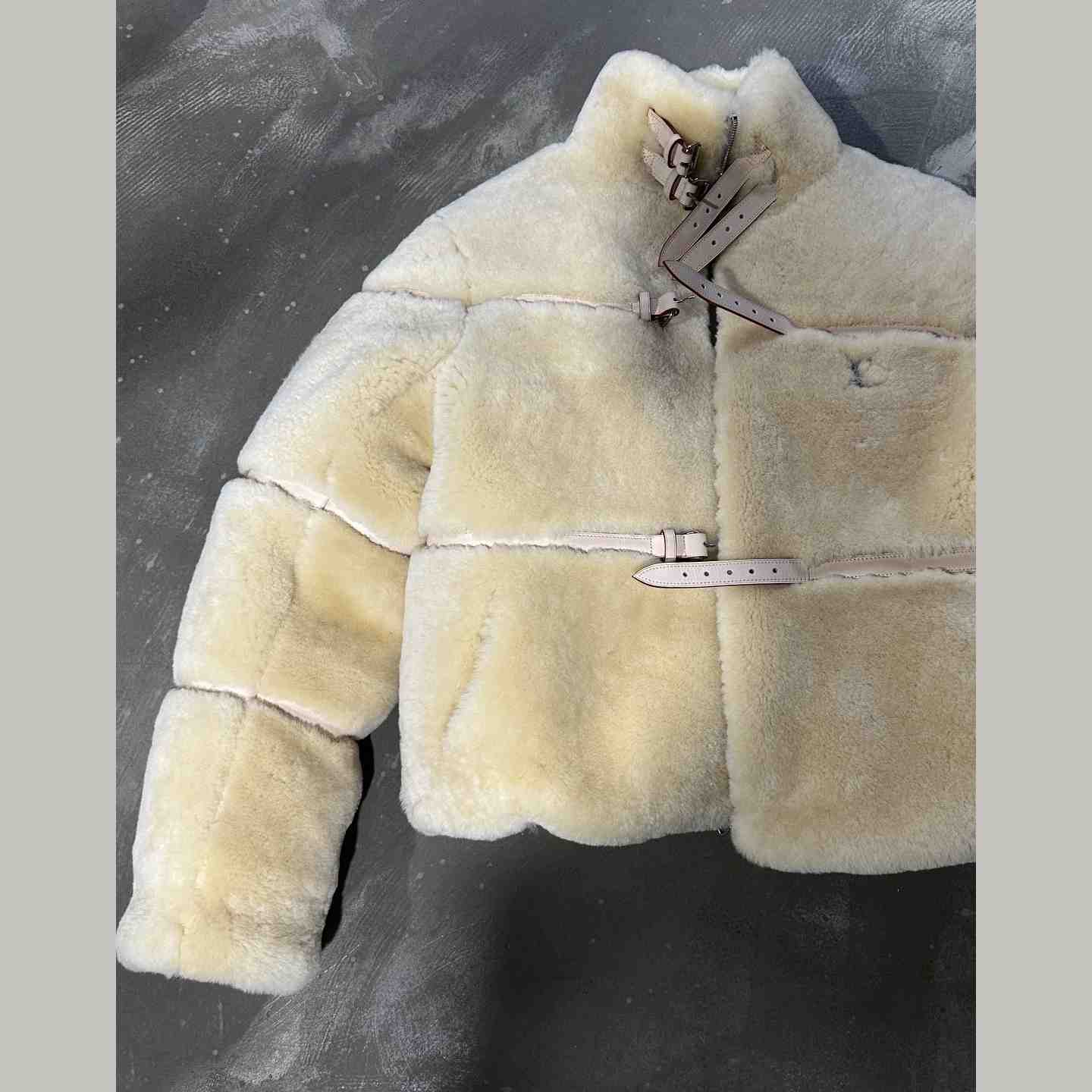 Louis Vuitton Shearling Down Blouson    - EUR FASHION