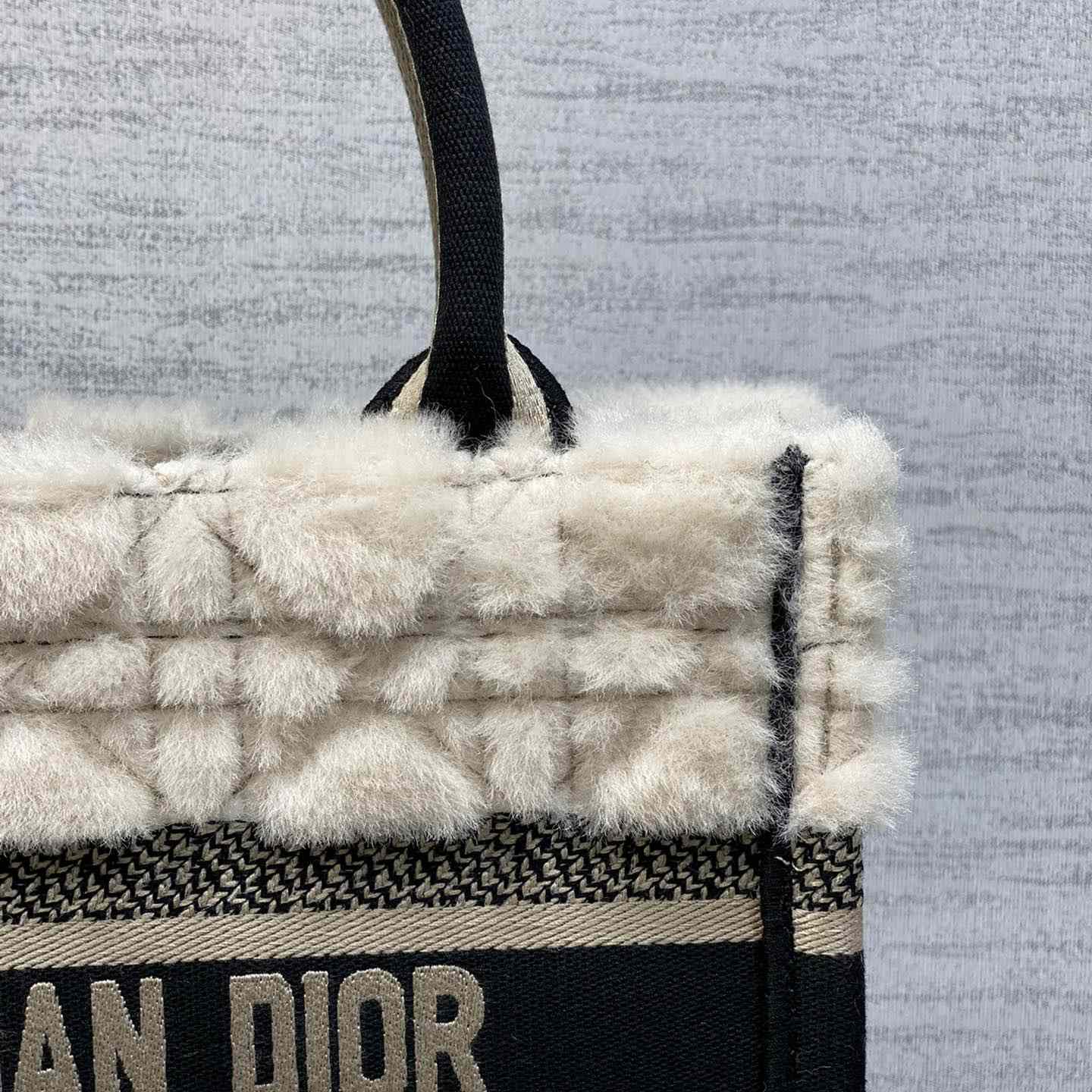 Dior Small Dior Book Tote - EUR FASHION