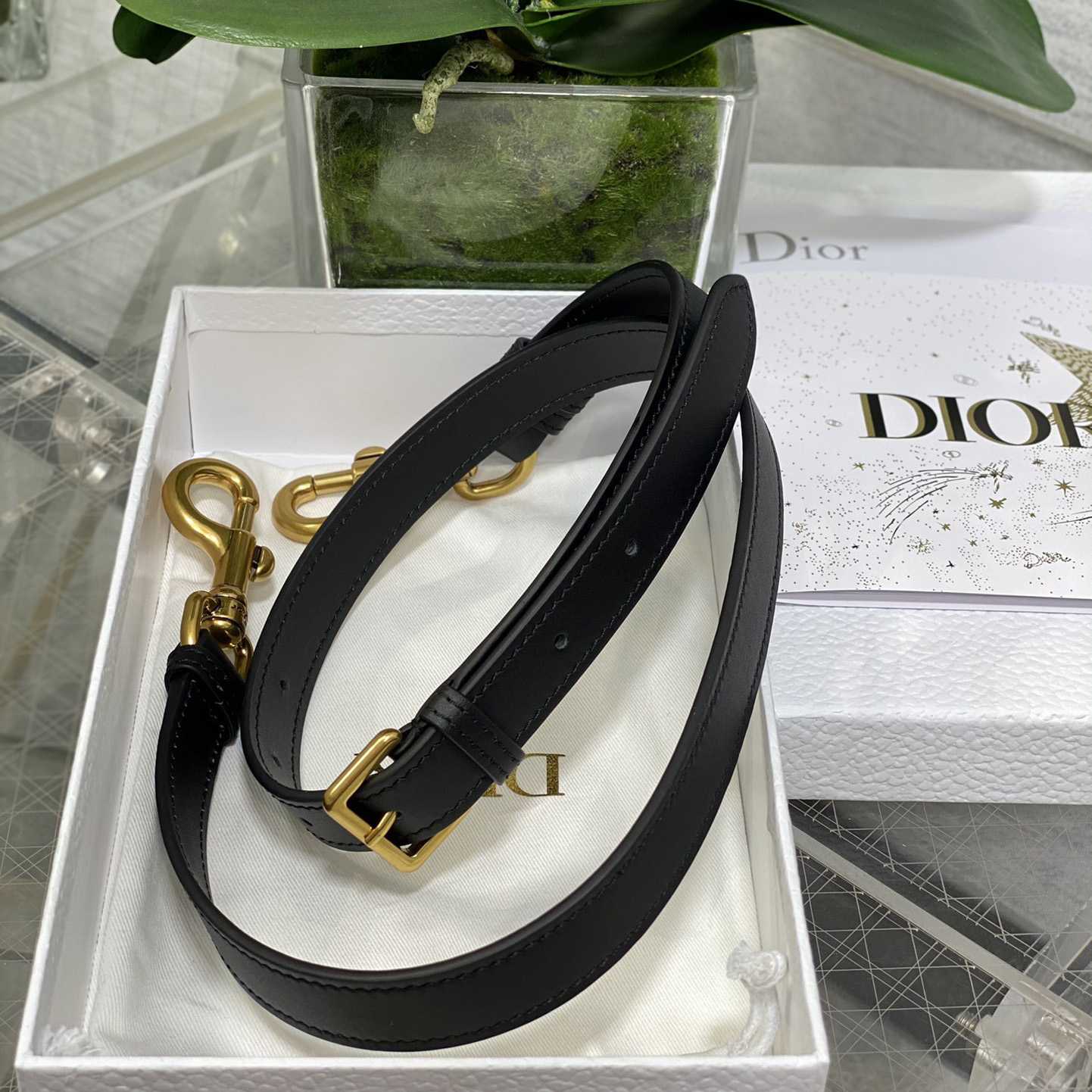 Dior Saddle Bag With Strap  (24×6×18cm) - EUR FASHION