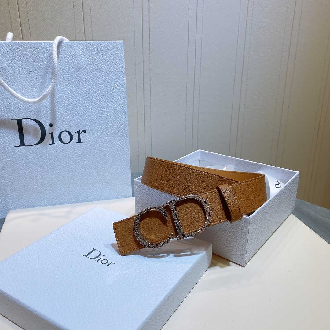 Dior Reversible Saddle Belt - EUR FASHION