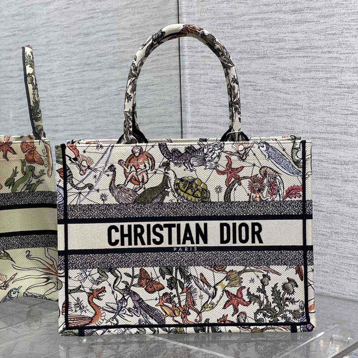 Dior Medium Dior Book Tote - EUR FASHION