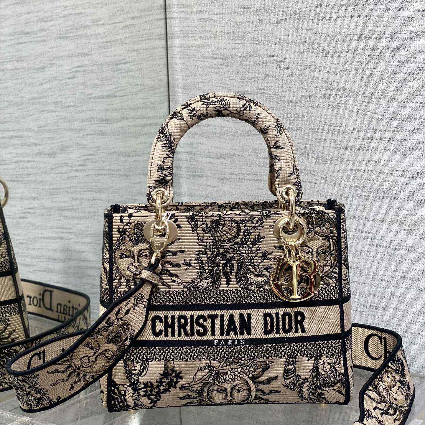 Dior Medium Lady D-Lite Bag - EUR FASHION