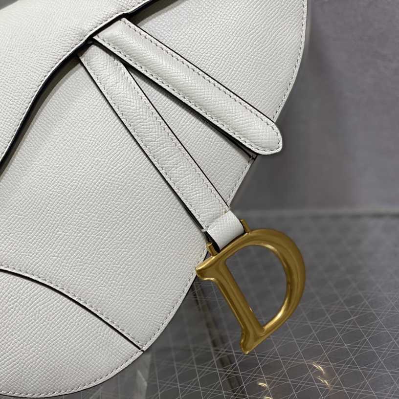 Dior Saddle Bag    25.5cm - EUR FASHION