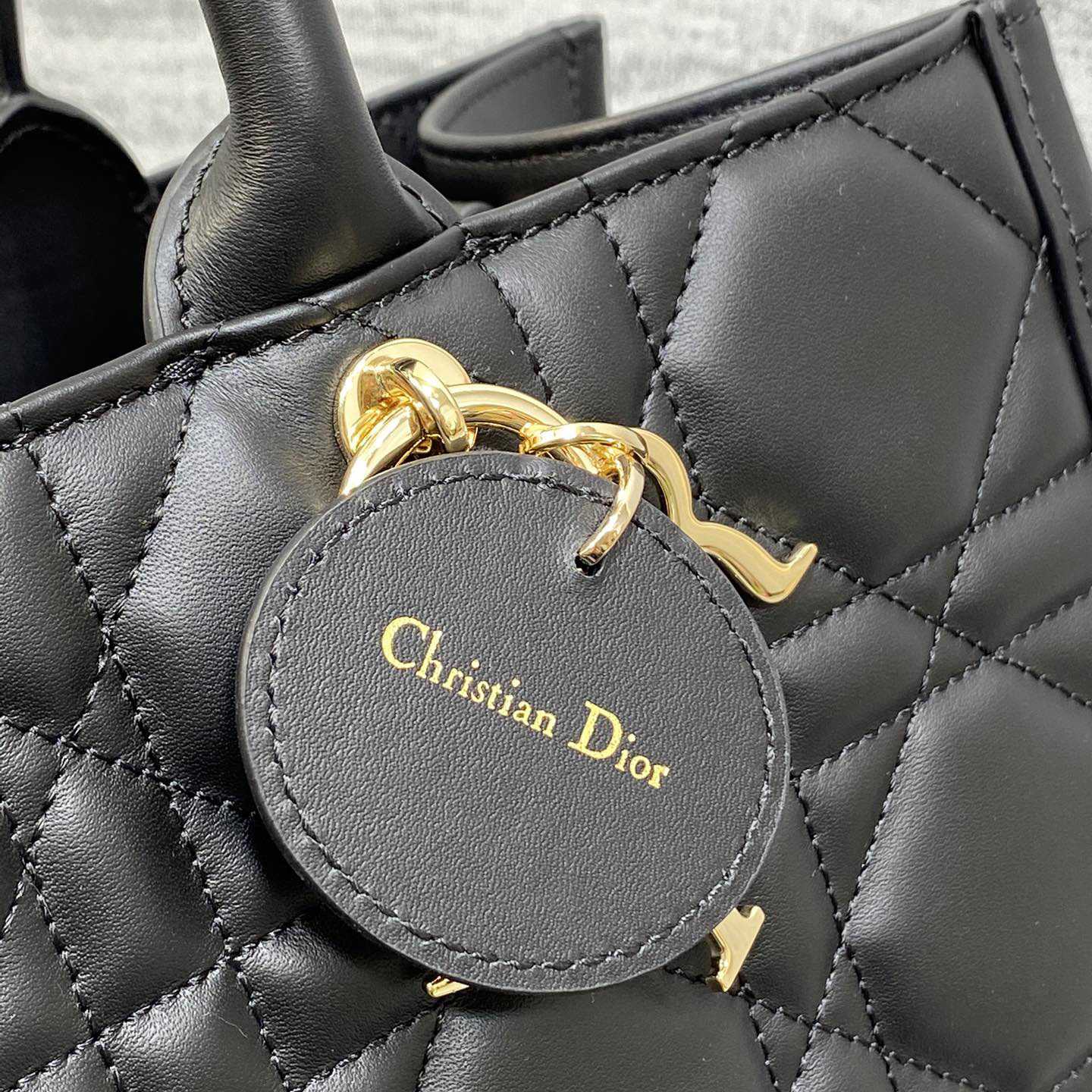 Dior Medium Dior Book Tote - EUR FASHION