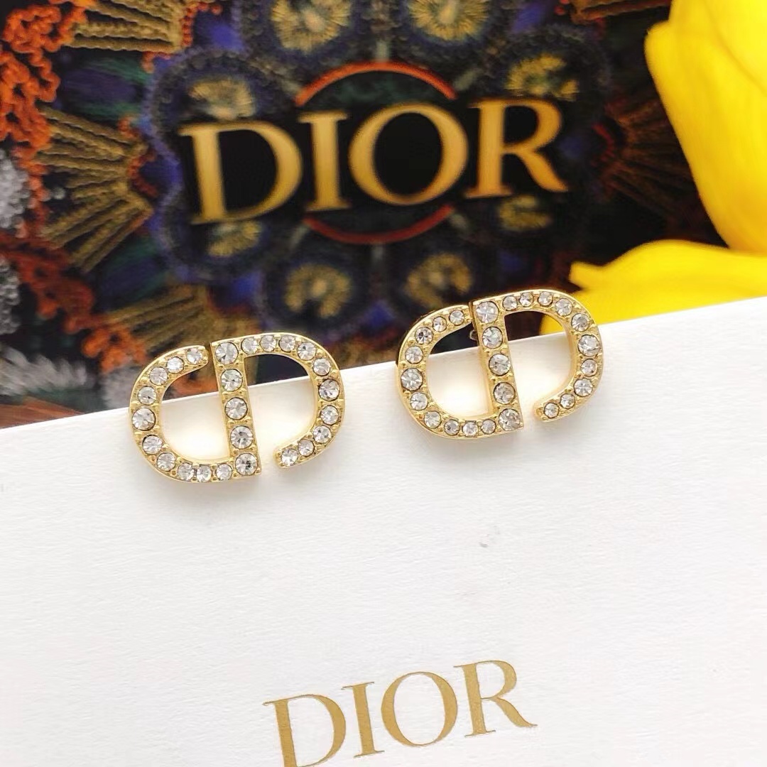 Dior Earrings - EUR FASHION