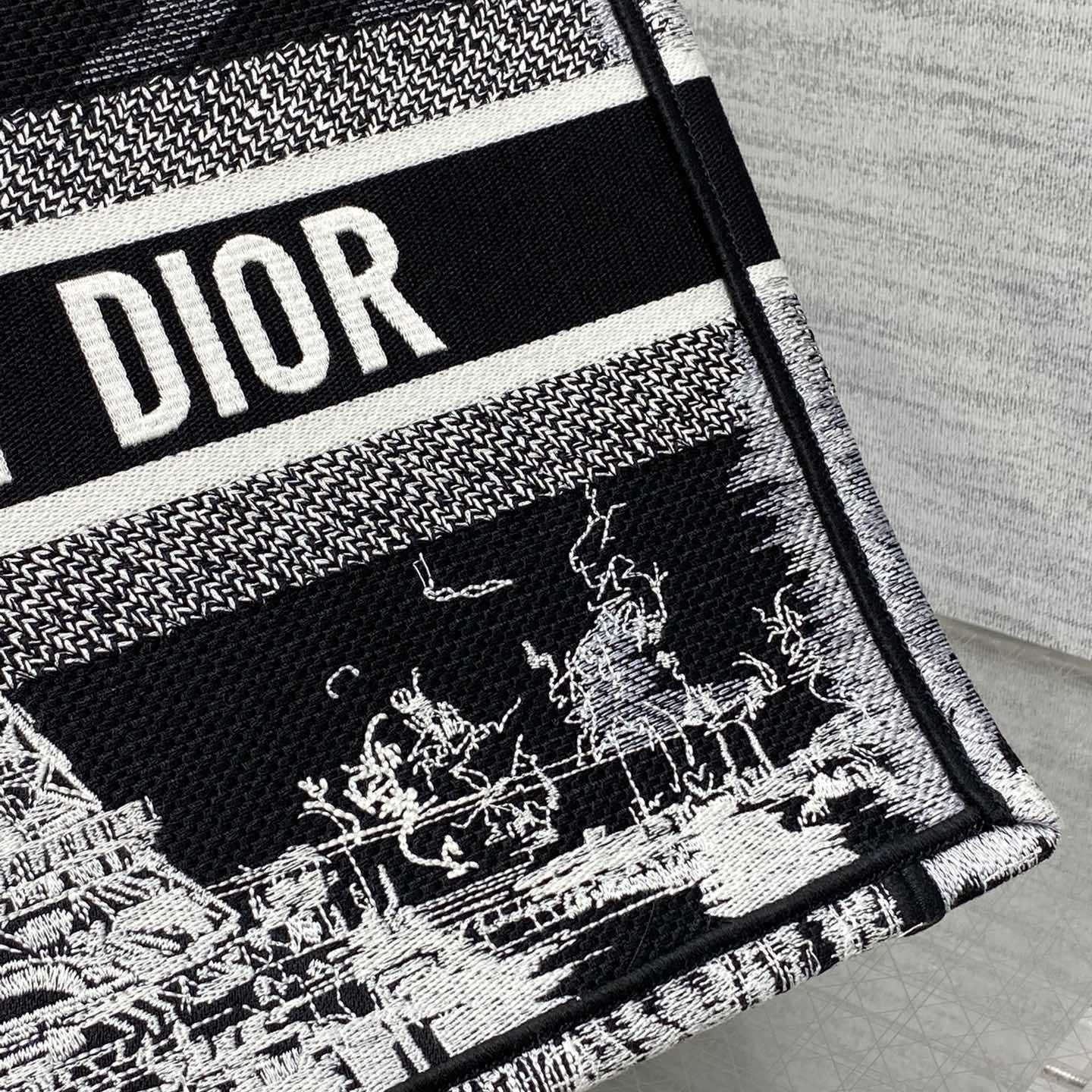 Dior Medium Dior Book Tote - EUR FASHION